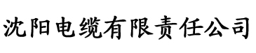 91香蕉污版视频电缆厂logo